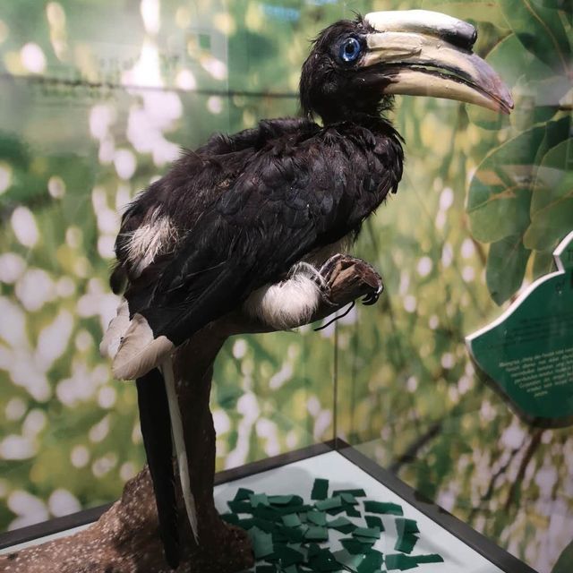 Piasau Nature Reserve Visitor Centre