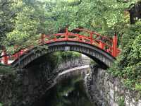 京都⛩ 流鏑馬や葵祭で有名な下鴨神社をご紹介