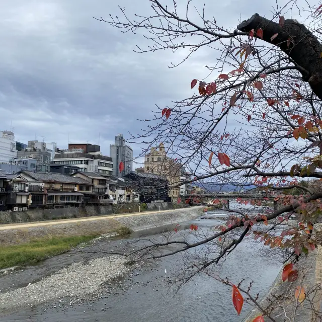 日本京都逛鴨川