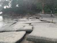 สุสานหอย 75 ล้านปี