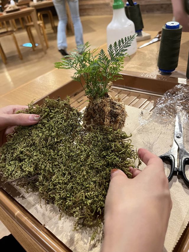 自分だけの小さな奥入瀬を持ち帰ろう🌿