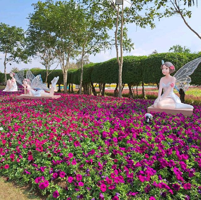 มนต์เสน่ห์เชียงใหม่ เมืองดอกไม้งาม