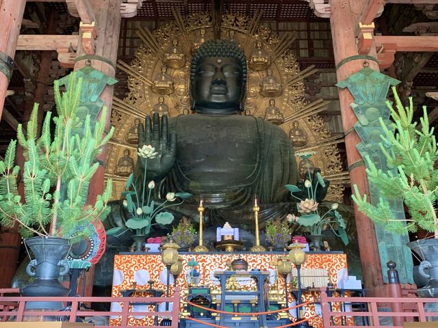 【世界遺産】奈良県を代表するスポット