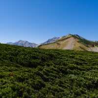 秋の白馬乗鞍岳