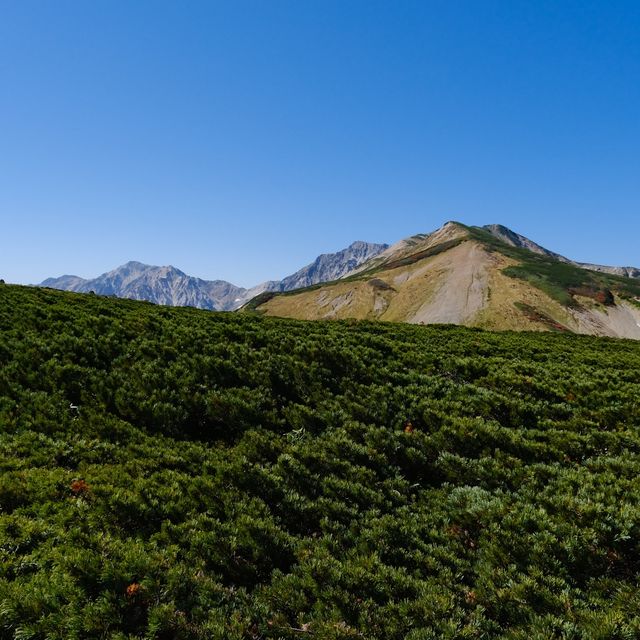 秋の白馬乗鞍岳