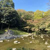 東京〝小石川後楽園〟