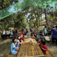Rimba Cafe Kuala Kedua