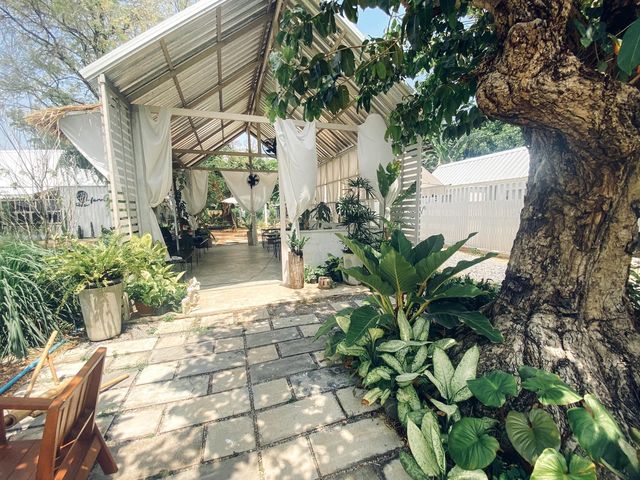 คาเฟ่ในสวน Pin Farm&Cafe @ขอนแก่น