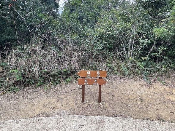 冇悶場 老虎頭