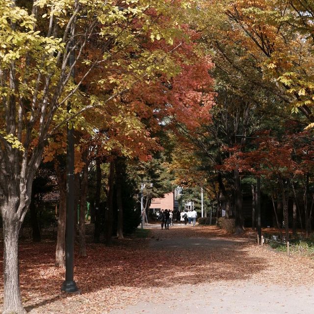 여유롭게 뚜벅거리기 좋은 서울숲