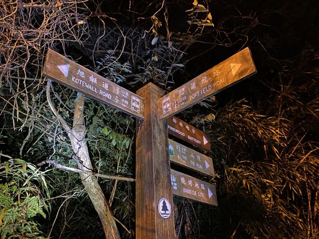 港島初級行山路線🥾⛰