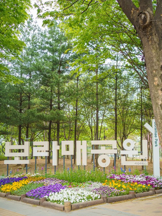 서울 겹벚꽃 포함 봄 꽃구경 명소 보라매공원 