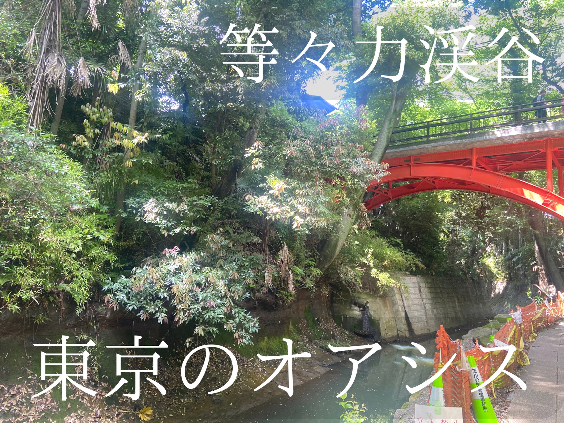 無料で楽しめちゃう 東京 用賀の砧公園は自然がいっぱい Trip Com 東京の旅のブログ