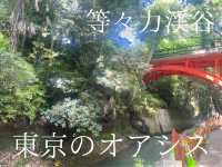 【東京にこんなところが？】週末に等々力渓谷で自然浴してきた！