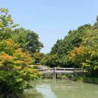 日本🇯🇵名花之里☺️四季如畫