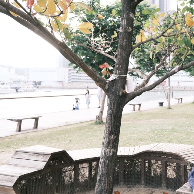 賞花必到～花悅滿城！