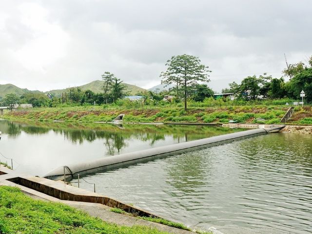 梧桐河