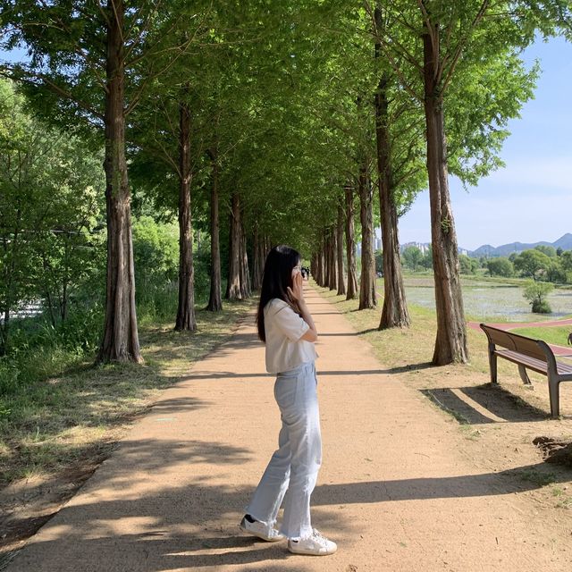 공주여행 