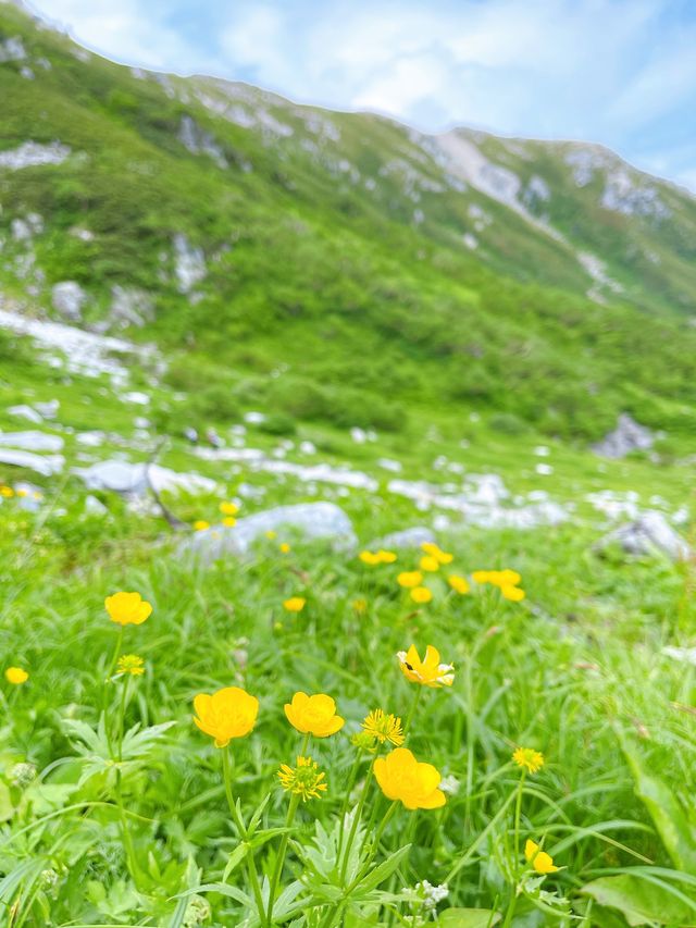 駒ヶ岳【千畳敷カール】週末山散策