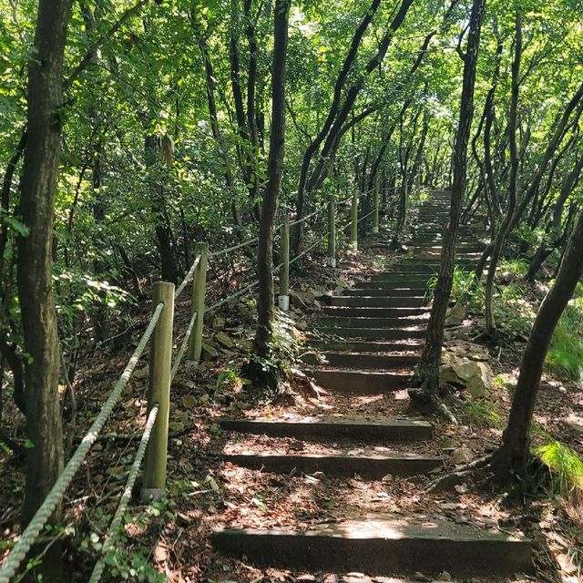 인천 무의도 호룡곡산 등산
