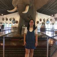 Baluarte Zoo