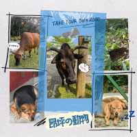 昂坪360🚡睇大佛✋！搵🐂牛牛！長文📝