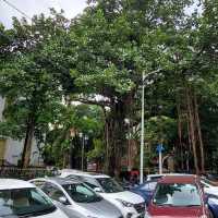 Kolkata Town Hall