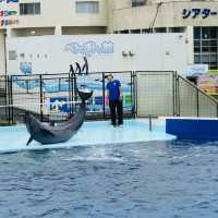 AQUARIUM PLACE 