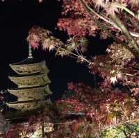 【京都府】東寺で平安時代に思いを馳せる