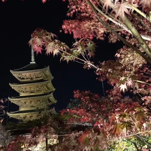 【京都府】東寺で平安時代に思いを馳せる