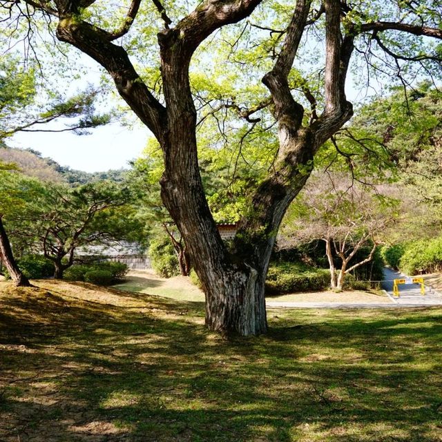 Hyeonchungsa Park