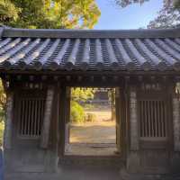 【東京都】秋の妖怪・天狗門🍁　哲学堂公園