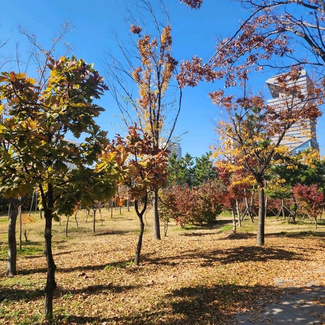 🍂 가을느낌 가득한 센트럴파크