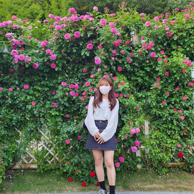 에버랜드로 떠나요🎠 에버랜드로 떠나요🎠