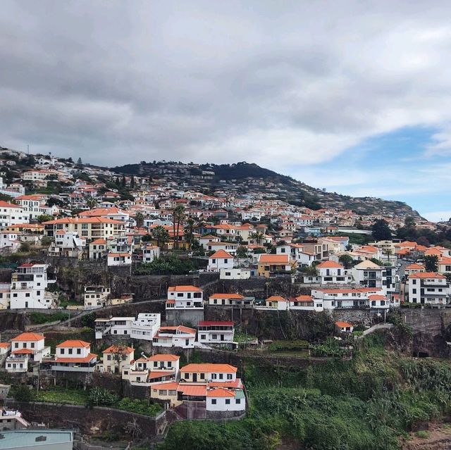 The Funchal View from the top