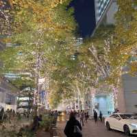 東京おすすめデートコース【丸の内イルミネーション2022🎄🌃】
