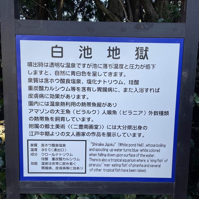 白池地獄〜大分•別府