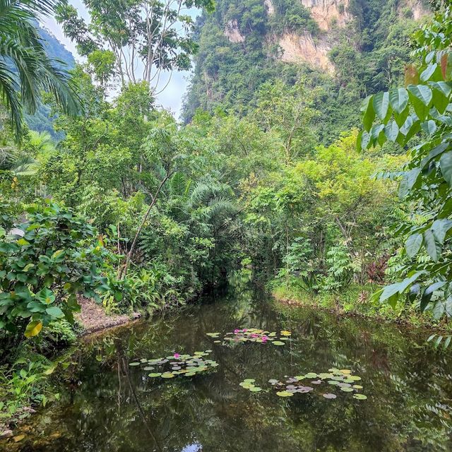 The Banjaran Hotsprings Retreat 🥰✨