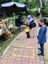 ; ZOO MELAKA. 🐘🦒🐎