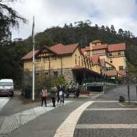 Jenolan Caves 