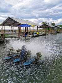 Recreation and Instagrammable hotspot!