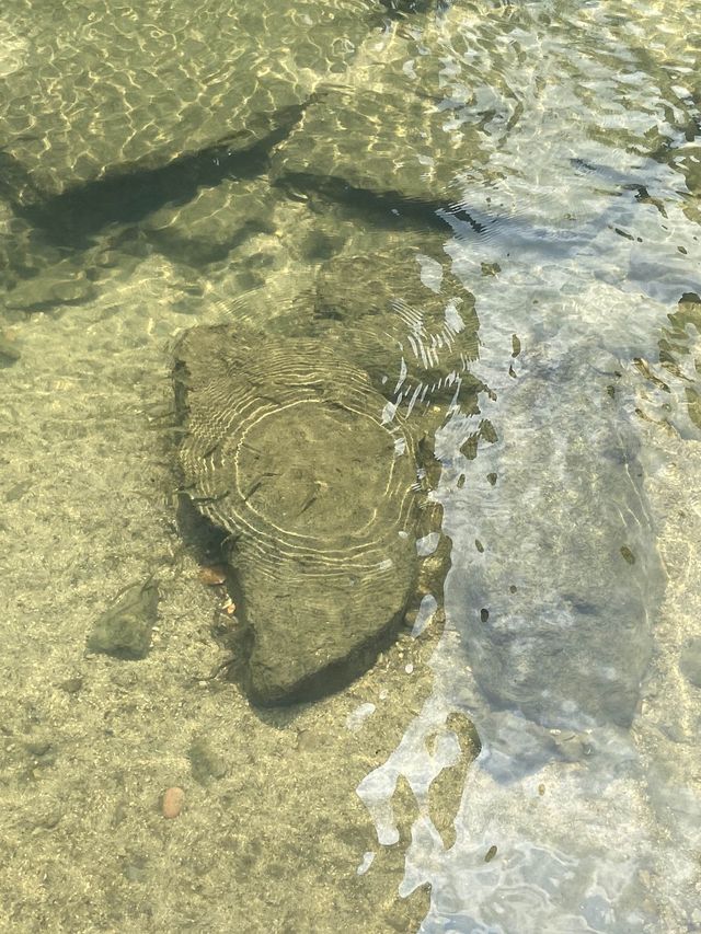 여름에는 청계천에서 탁족을☀️💦