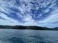 อุทยานแห่งชาติหมู่เกาะสุรินทร์ ปะการังยืนหนึ่ง 