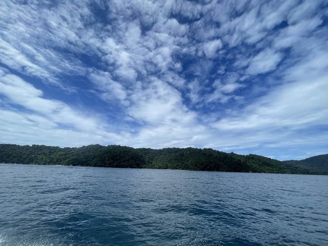 อุทยานแห่งชาติหมู่เกาะสุรินทร์ ปะการังยืนหนึ่ง 