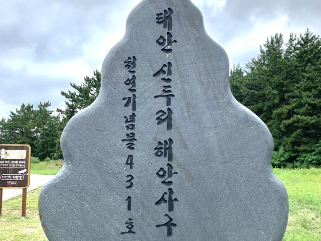 태안 [신두리 해안사구]