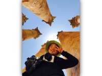 요르단 제라쉬 Jerash