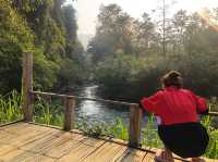 Campiness Camping & Farmsook