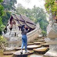 700 year old temple hidden in the forest