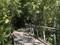 Keppel Bay & Labrador Nature Park