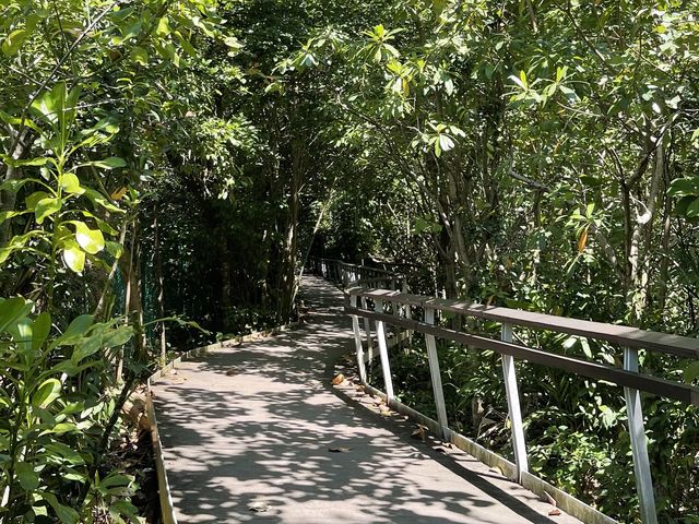 Keppel Bay & Labrador Nature Park